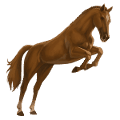 reitpferd paint horse rotbrauner mit overo-scheckung