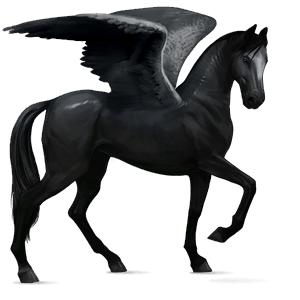 pegasus-reitpferd rappe