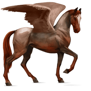 pegasus-reitpferd dunkelbrauner