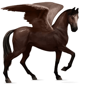 pegasus-reitpferd dunkelbrauner