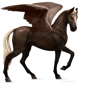 pegasus-reitpferd rotbrauner