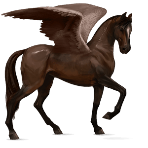 pegasus-reitpferd dunkelbrauner