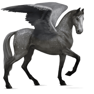 pegasus-reitpferd hellgrau