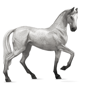 reitpferd paint horse dunkelfuchs mit tobiano-scheckung