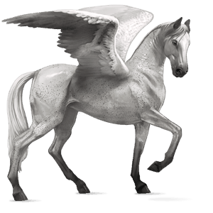 pegasus-reitpferd argentinischer criollo brauner mit tovero-scheckung 