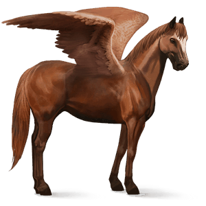 pegasus-reitpferd argentinischer criollo fuchs