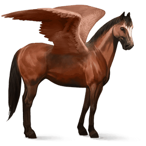 pegasus-reitpferd rotbrauner