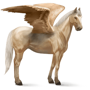 pegasus-reitpferd argentinischer criollo palomino