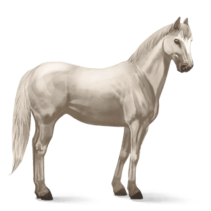 reitpferd quarter horse cremello