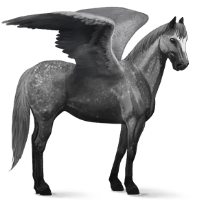 pegasus-reitpferd argentinischer criollo apfelschimmel