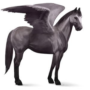 pegasus-reitpferd argentinischer criollo roan