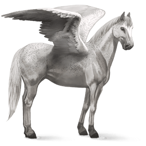 pegasus-reitpferd argentinischer criollo hellgrau