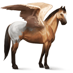 pegasus-reitpferd falbe