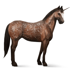 einhorn-reitpferd appaloosa braune schneeflocke