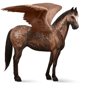 pegasus-reitpferd argentinischer criollo brauner