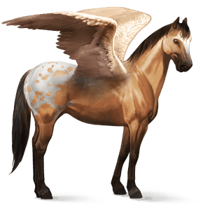 pegasus-reitpferd paint horse rappe mit tovero-scheckung
