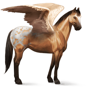 pegasus-reitpferd argentinischer criollo falbe