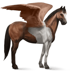 pegasus-reitpferd paint horse brauner mit tobiano-scheckung