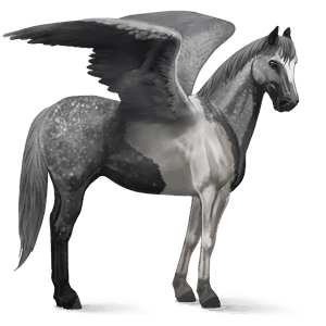 pegasus-reitpferd paint horse brauner mit tovero-scheckung 