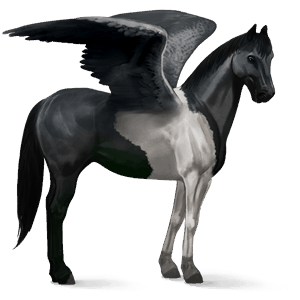 pegasus-reitpferd paint horse rappe mit tobiano-scheckung