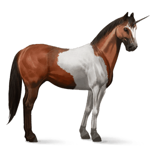 einhorn-reitpferd paint horse rotbrauner mit tobiano-scheckung