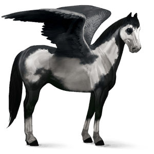 pegasus-reitpferd paint horse rappe mit overo-scheckung