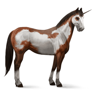 einhorn-reitpferd paint horse rotbrauner mit overo-scheckung