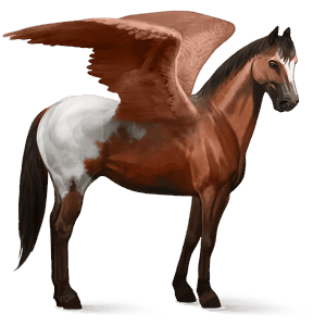 pegasus-reitpferd paint horse rotbrauner mit overo-scheckung