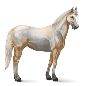 reitpferd paint horse palomino mit overo-scheckung