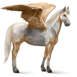 pegasus-reitpferd paint horse palomino mit overo-scheckung