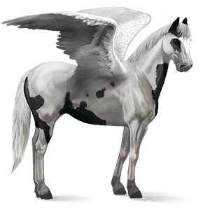 pegasus-reitpferd argentinischer criollo brauner mit tobiano-scheckung