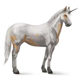 einhorn-reitpferd paint horse palomino mit tovero-scheckung