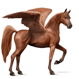 pegasus-reitpferd araber fuchs