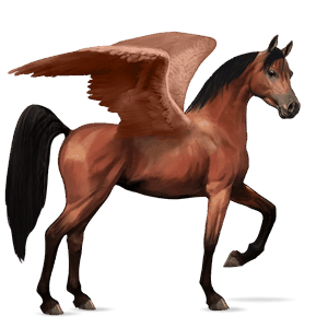 pegasus-reitpferd rotbrauner