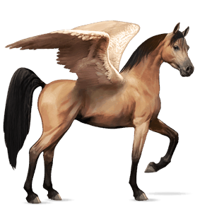 pegasus-reitpferd araber falbe