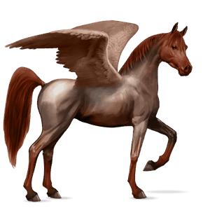 pegasus-reitpferd araber dunkelbrauner