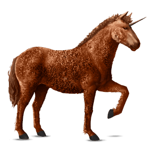 einhorn-reitpferd curly horse fuchs