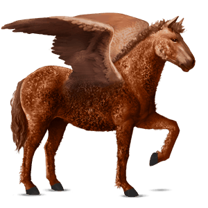 pegasus-reitpferd curly horse fuchs