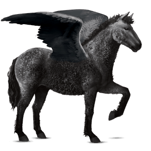 pegasus-reitpferd araber rappe