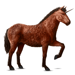 einhorn-reitpferd curly horse rotbrauner