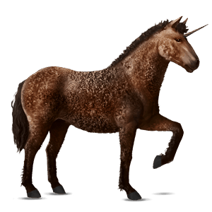 einhorn-reitpferd curly horse brauner