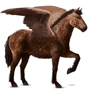 pegasus-reitpferd curly horse brauner