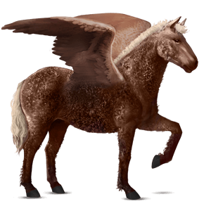 pegasus-reitpferd curly horse fuchs