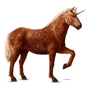 einhorn-reitpferd curly horse fuchs