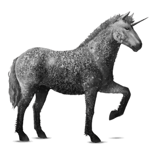 einhorn-reitpferd curly horse apfelschimmel