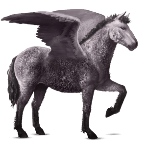 pegasus-reitpferd curly horse mausgrau