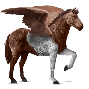 pegasus-reitpferd curly horse fuchs