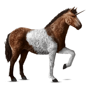 einhorn-reitpferd curly horse dunkelfuchs