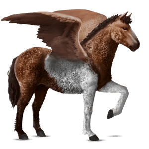 pegasus-reitpferd curly horse fuchs