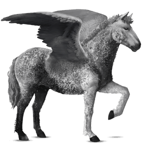 pegasus-reitpferd rappe